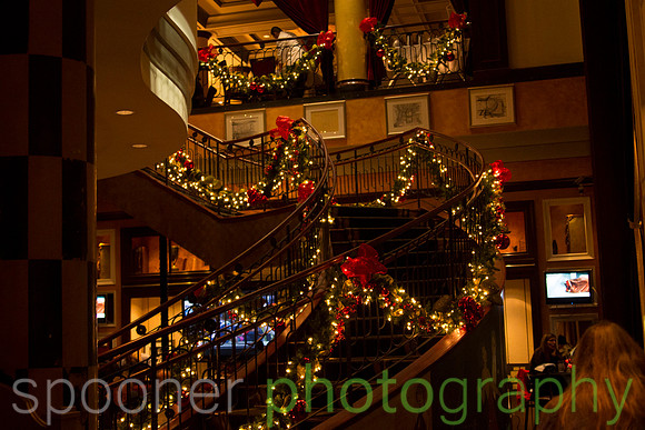 -_MG_47641