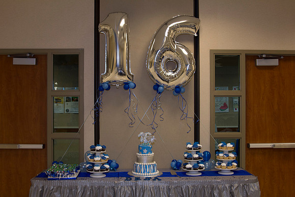 Deja Young - Sweet Sixteen