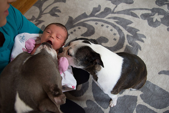 IMG_0358
