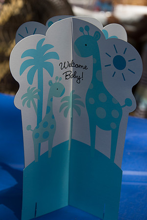 AngelasBabyShower-10