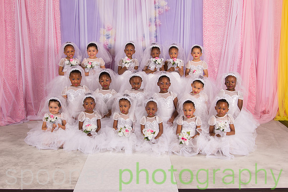 Here Comes the Bride group