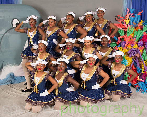 In the Navy Group